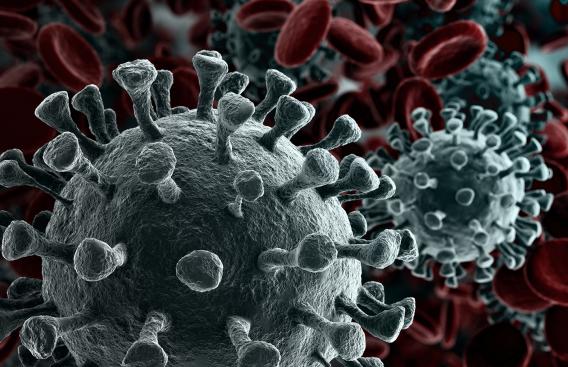 Coronavirus