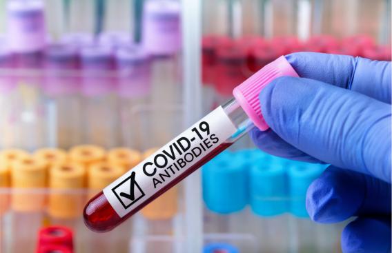 antibody test