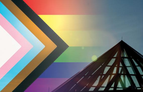 D-HH's commitment to diversity and inclusion